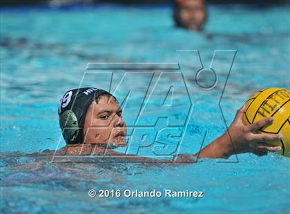 Thumbnail 1 in Olympian @ Hilltop photogallery.