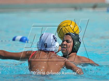 Thumbnail 3 in Olympian @ Hilltop photogallery.