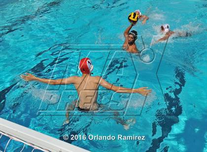 Thumbnail 2 in Olympian @ Hilltop photogallery.