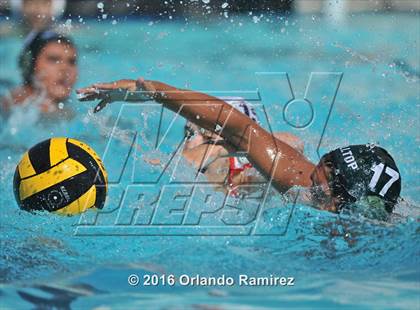 Thumbnail 3 in Olympian @ Hilltop photogallery.