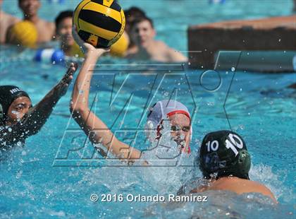 Thumbnail 3 in Olympian @ Hilltop photogallery.