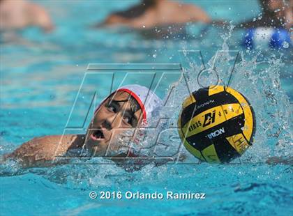 Thumbnail 1 in Olympian @ Hilltop photogallery.