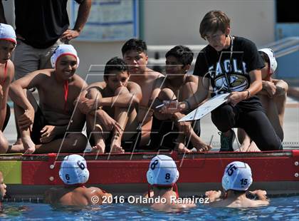 Thumbnail 1 in Olympian @ Hilltop photogallery.
