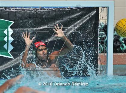 Thumbnail 1 in Olympian @ Hilltop photogallery.