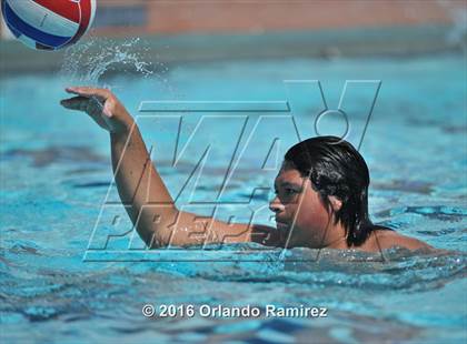 Thumbnail 1 in Olympian @ Hilltop photogallery.