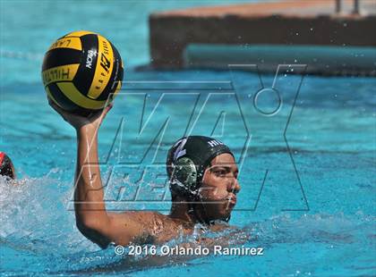 Thumbnail 1 in Olympian @ Hilltop photogallery.