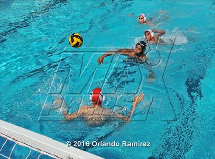 Thumbnail 2 in Olympian @ Hilltop photogallery.