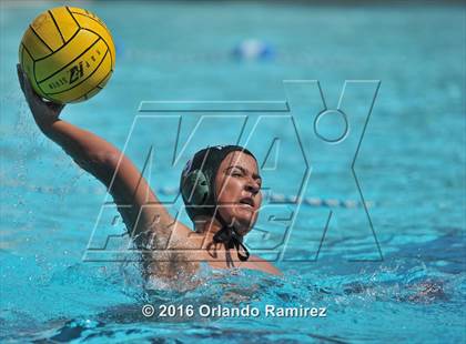 Thumbnail 2 in Olympian @ Hilltop photogallery.
