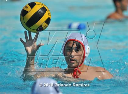 Thumbnail 2 in Olympian @ Hilltop photogallery.