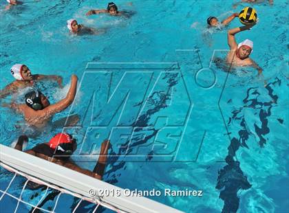Thumbnail 2 in Olympian @ Hilltop photogallery.