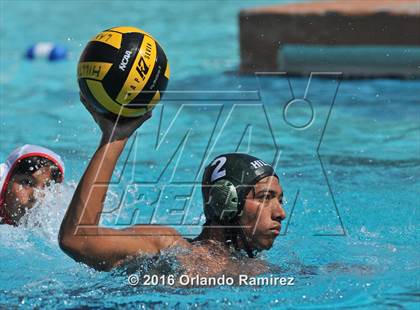 Thumbnail 2 in Olympian @ Hilltop photogallery.