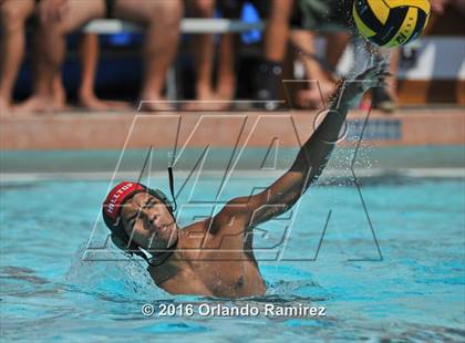 Thumbnail 1 in Olympian @ Hilltop photogallery.