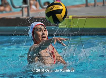 Thumbnail 2 in Olympian @ Hilltop photogallery.