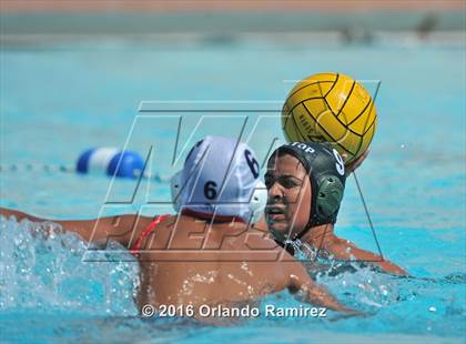 Thumbnail 2 in Olympian @ Hilltop photogallery.