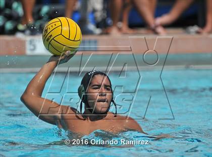 Thumbnail 2 in Olympian @ Hilltop photogallery.