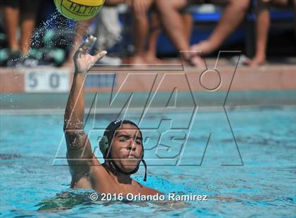 Thumbnail 1 in Olympian @ Hilltop photogallery.