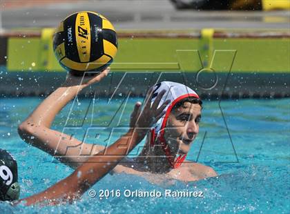 Thumbnail 3 in Olympian @ Hilltop photogallery.