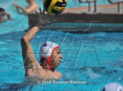 Thumbnail 2 in Olympian @ Hilltop photogallery.