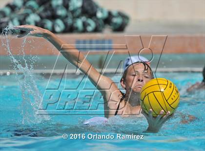 Thumbnail 3 in Olympian @ Hilltop photogallery.