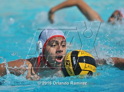 Thumbnail 3 in Olympian @ Hilltop photogallery.