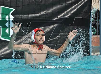 Thumbnail 3 in Olympian @ Hilltop photogallery.