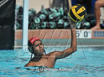 Thumbnail 2 in Olympian @ Hilltop photogallery.