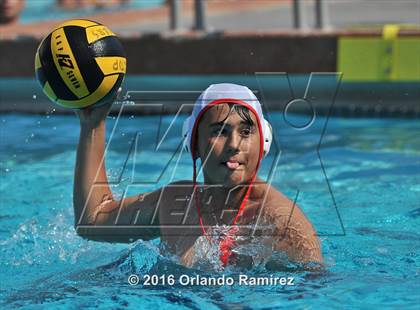 Thumbnail 3 in Olympian @ Hilltop photogallery.