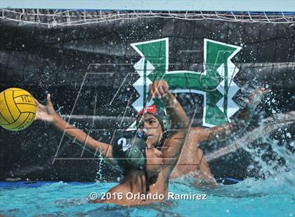 Thumbnail 1 in Olympian @ Hilltop photogallery.