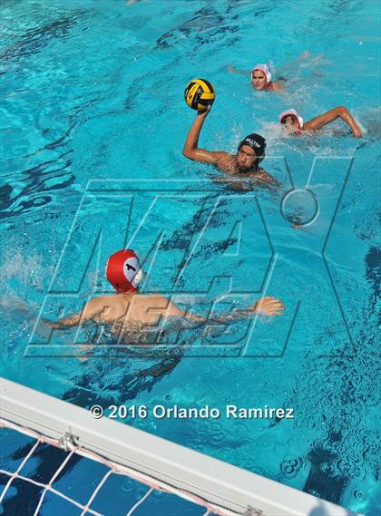 Thumbnail 1 in Olympian @ Hilltop photogallery.