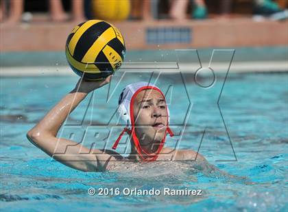 Thumbnail 3 in Olympian @ Hilltop photogallery.