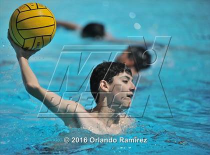Thumbnail 3 in Olympian @ Hilltop photogallery.