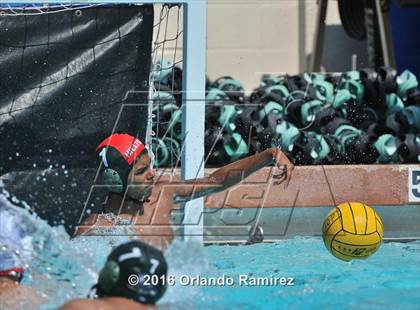 Thumbnail 1 in Olympian @ Hilltop photogallery.