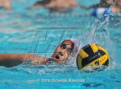 Thumbnail 2 in Olympian @ Hilltop photogallery.