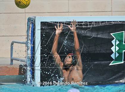 Thumbnail 3 in Olympian @ Hilltop photogallery.