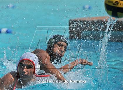 Thumbnail 1 in Olympian @ Hilltop photogallery.