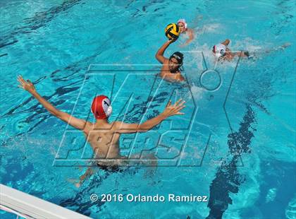 Thumbnail 3 in Olympian @ Hilltop photogallery.