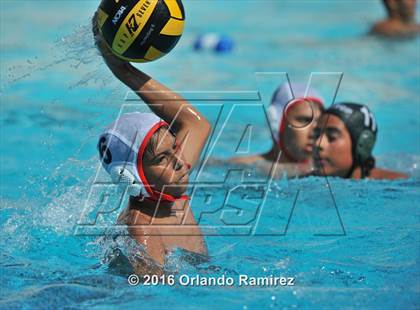 Thumbnail 2 in Olympian @ Hilltop photogallery.