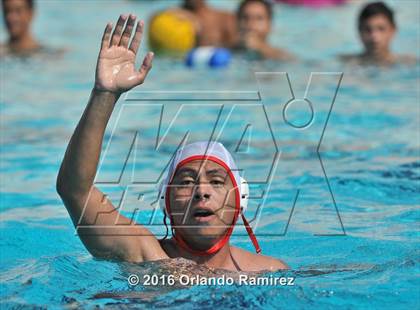 Thumbnail 1 in Olympian @ Hilltop photogallery.