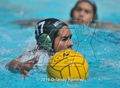 Thumbnail 1 in Olympian @ Hilltop photogallery.