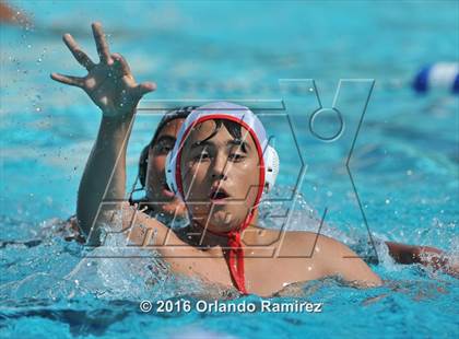 Thumbnail 2 in Olympian @ Hilltop photogallery.