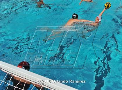 Thumbnail 1 in Olympian @ Hilltop photogallery.