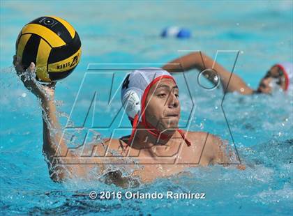 Thumbnail 1 in Olympian @ Hilltop photogallery.