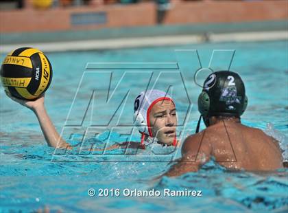 Thumbnail 1 in Olympian @ Hilltop photogallery.