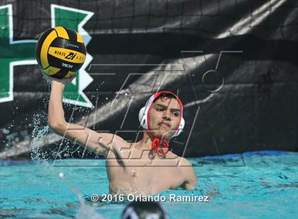 Thumbnail 2 in Olympian @ Hilltop photogallery.