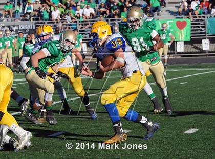 Thumbnail 1 in Tempe Prep vs. Yuma Catholic (AIA D5 Final) photogallery.