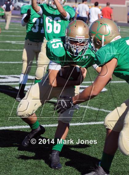 Thumbnail 3 in Tempe Prep vs. Yuma Catholic (AIA D5 Final) photogallery.