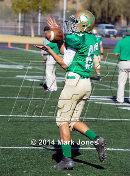 Thumbnail 2 in Tempe Prep vs. Yuma Catholic (AIA D5 Final) photogallery.