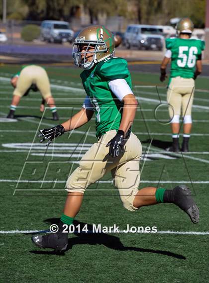 Thumbnail 3 in Tempe Prep vs. Yuma Catholic (AIA D5 Final) photogallery.