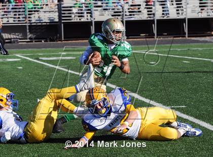 Thumbnail 1 in Tempe Prep vs. Yuma Catholic (AIA D5 Final) photogallery.