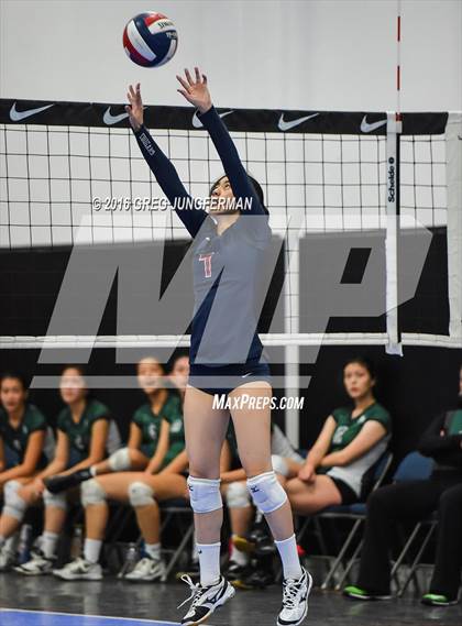 Thumbnail 3 in Campolindo vs. Harker (NDB Tiger Cup) photogallery.